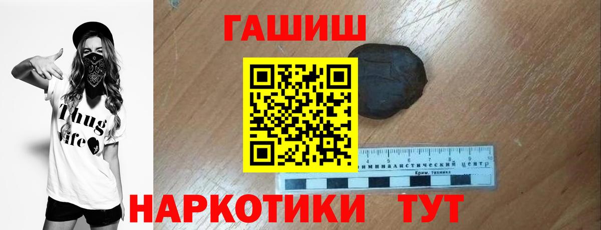 ГАШ Premium Вологда