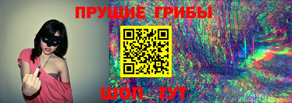 Вологда  Галлюциногенные грибы Magic Shrooms  Вход с VPN 