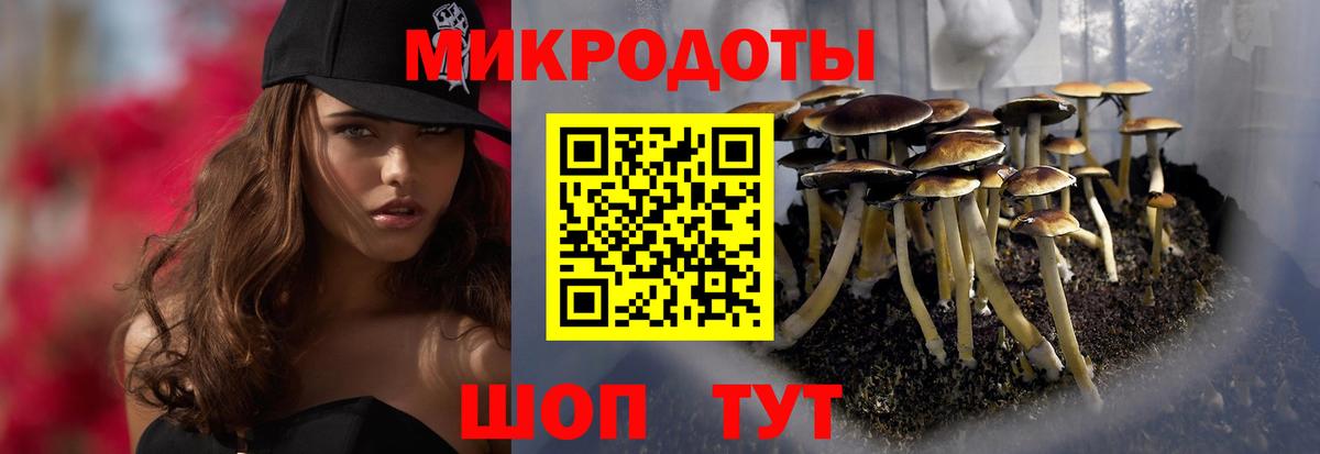 Псилоцибиновые грибы MAGIC MUSHROOMS Вологда